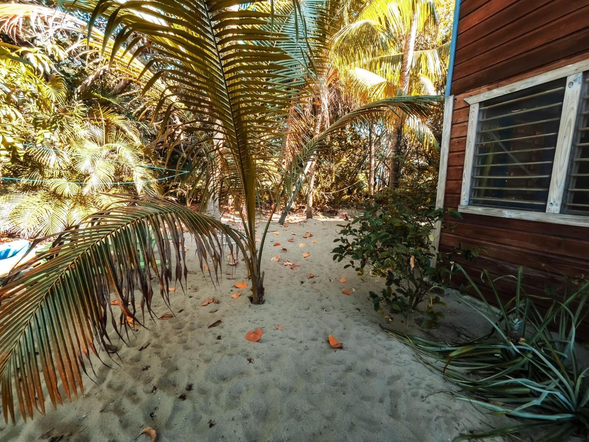 Anda Di Hows Hostel Placencia Exterior foto