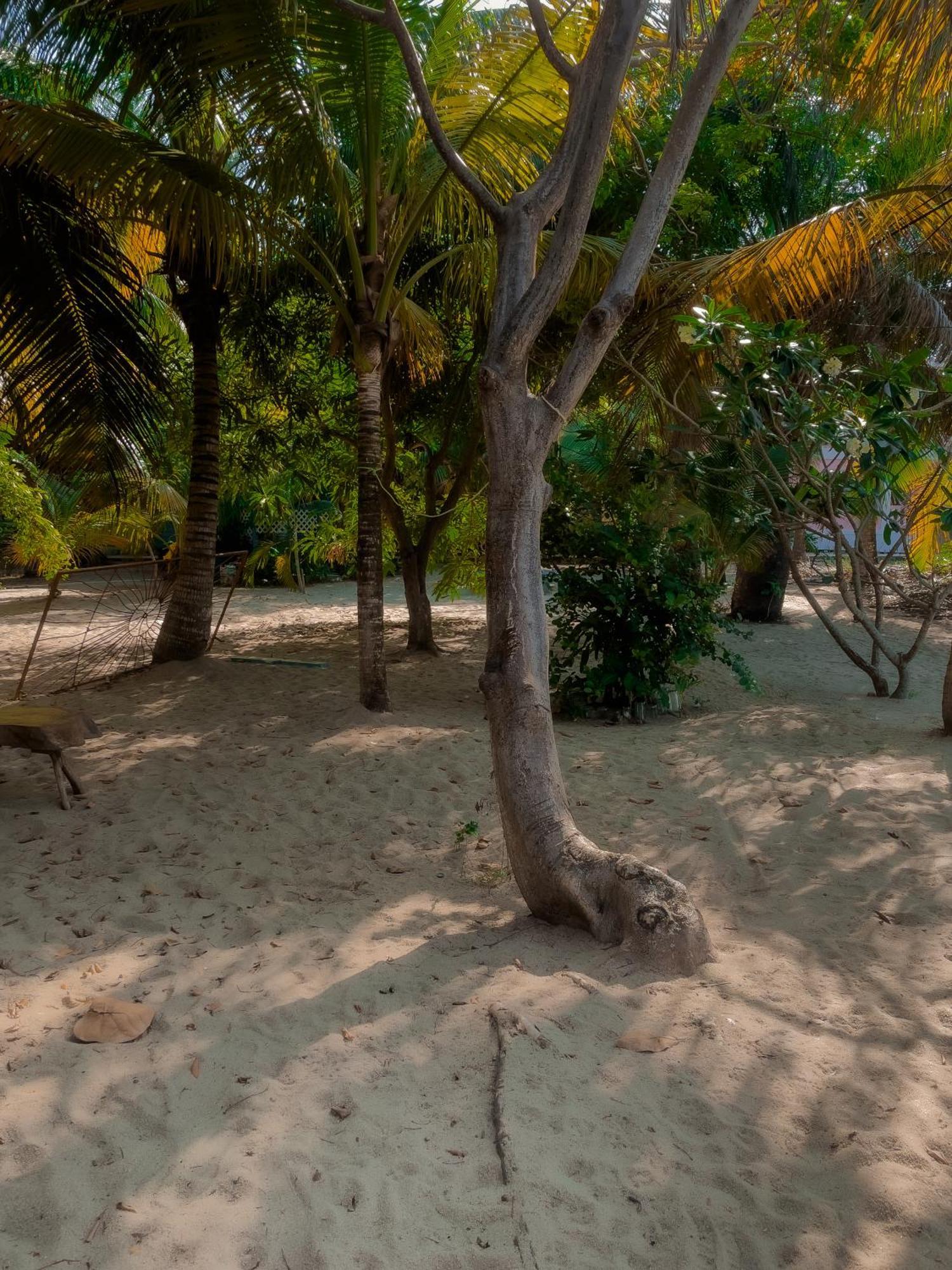 Anda Di Hows Hostel Placencia Exterior foto