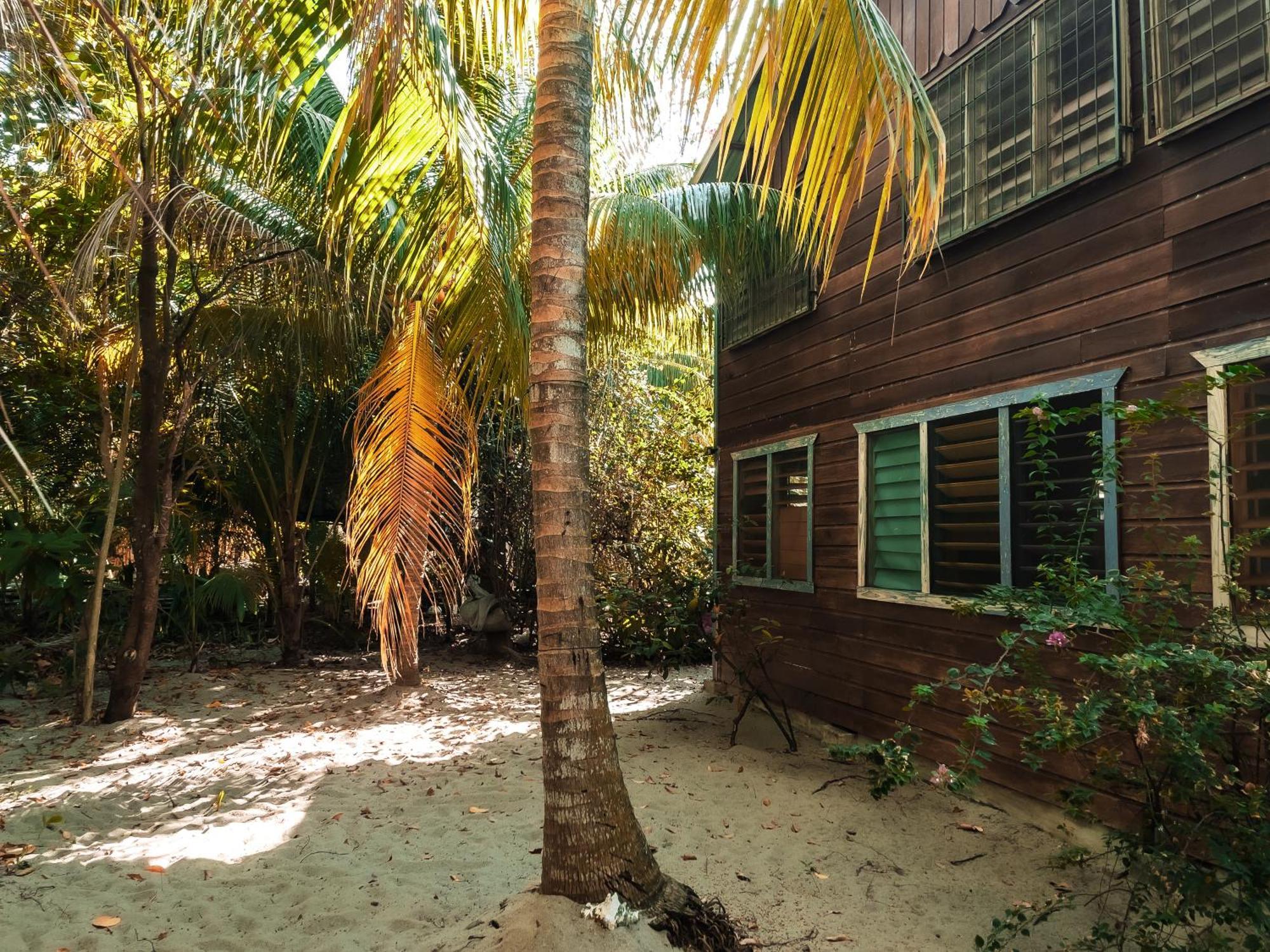 Anda Di Hows Hostel Placencia Exterior foto